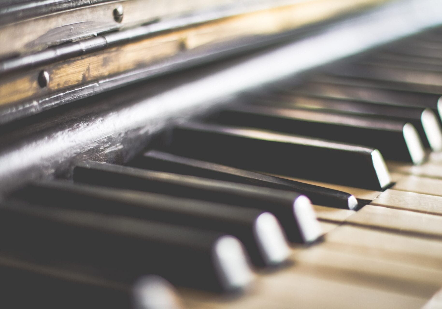 pexels-steve-johnson-2253569